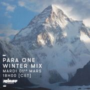 2016-03-01 - Para One - Winter Mix (Rinse FM France).jpg